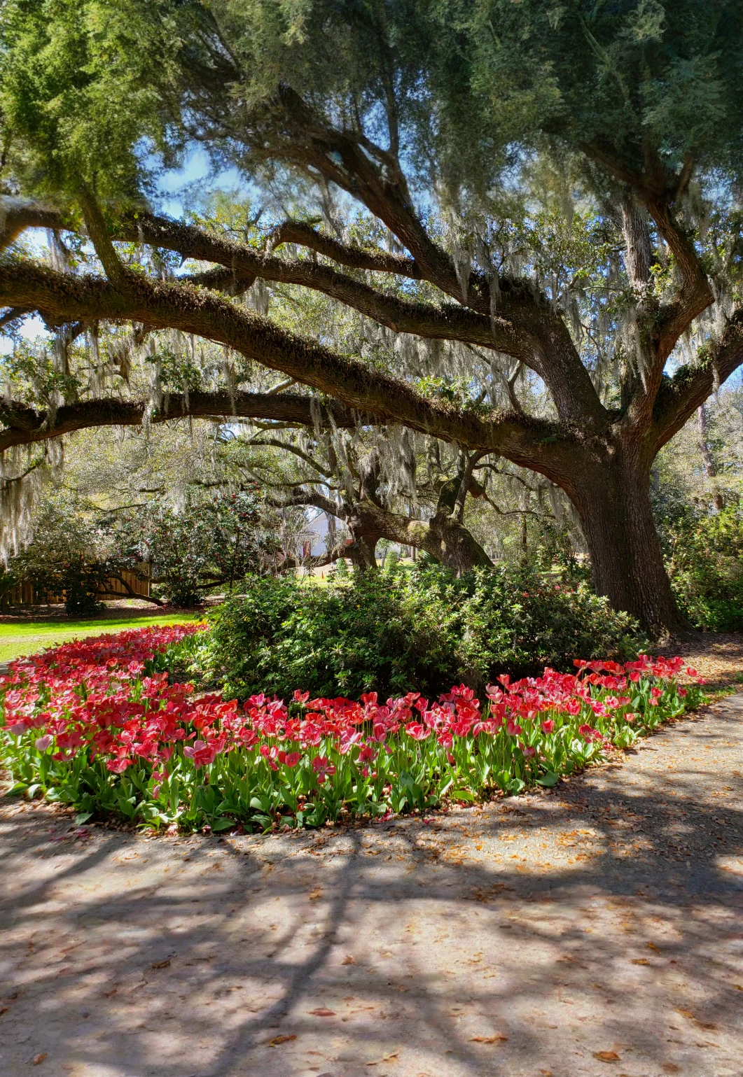 Homeschool Day: Spring Blooms